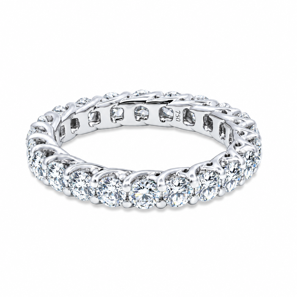 藤蔓永恒乐队 (Vine Eternity Band)