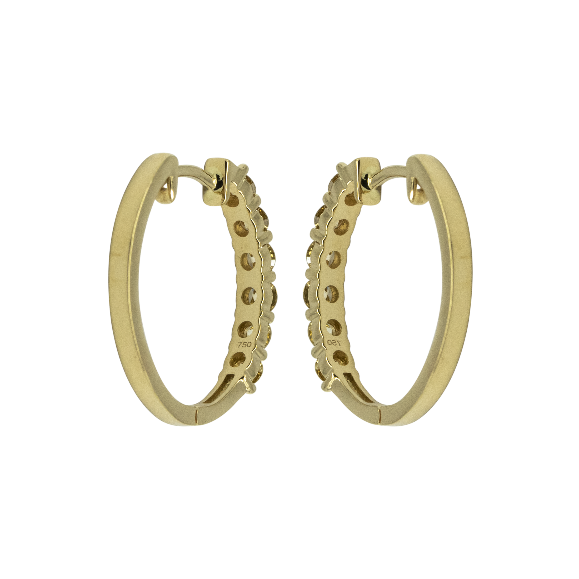 Classic Fancy Hoop - Palaces Jewellery