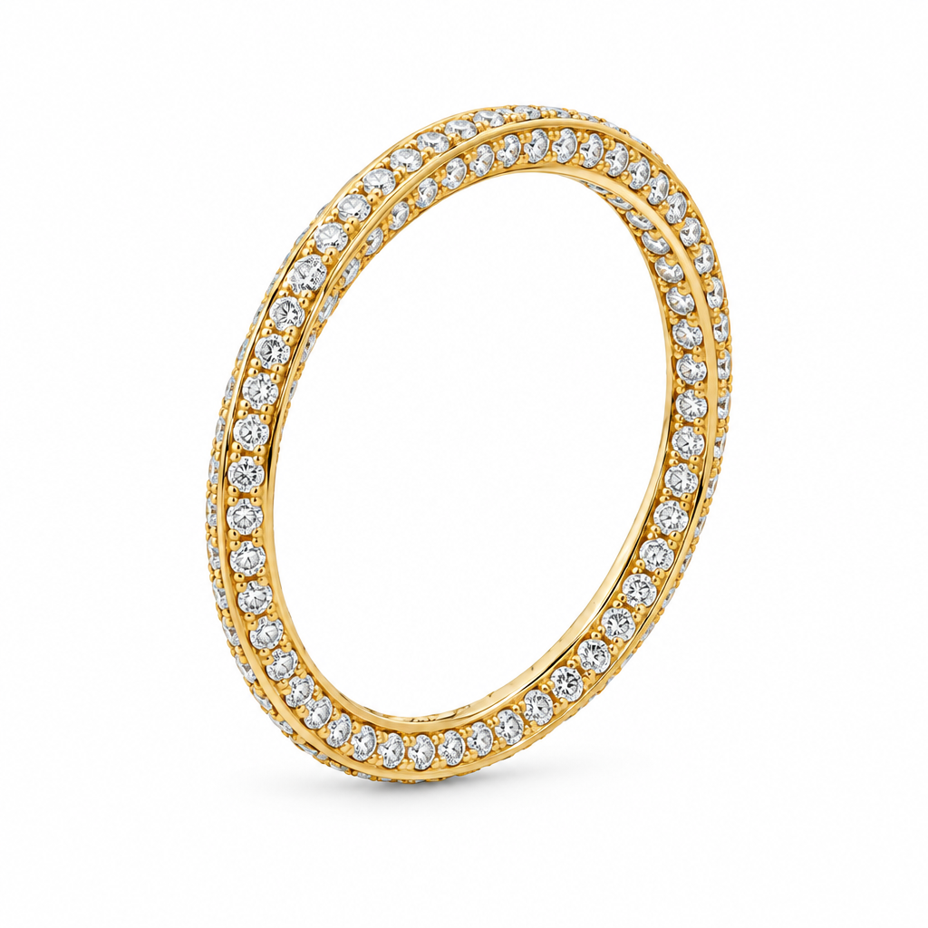 扭曲永恒乐队 (Twisted Eternity Band)