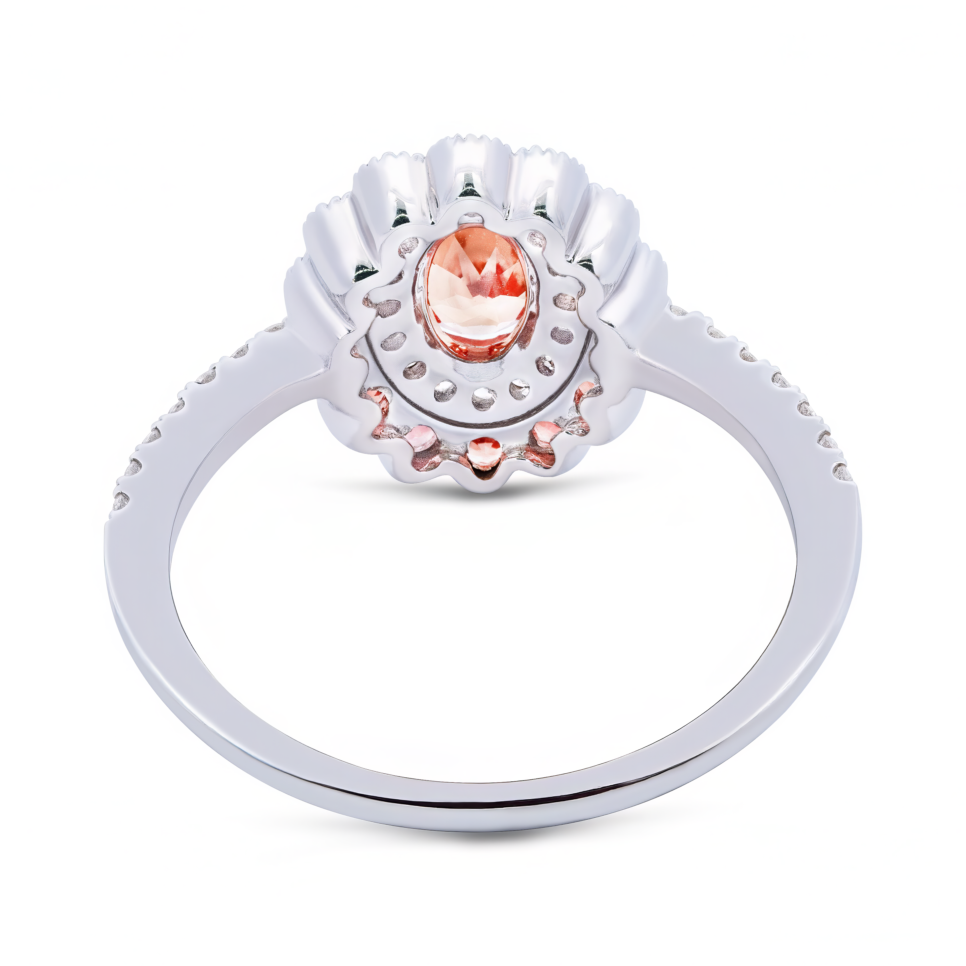 Sapphire Halo Ring - Palaces Jewellery